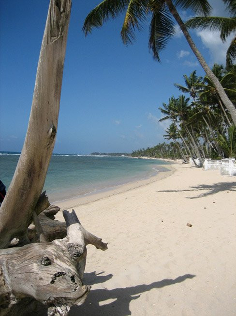 Доминикана, фото № 493 – фотографии Доминиканы