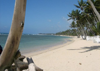 Доминикана, фото № 493 – фотографии Доминиканы