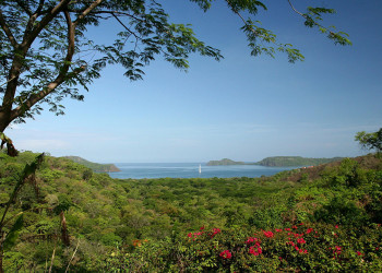 Коста-Рика, фото № 816 – фотографии Коста-Рики