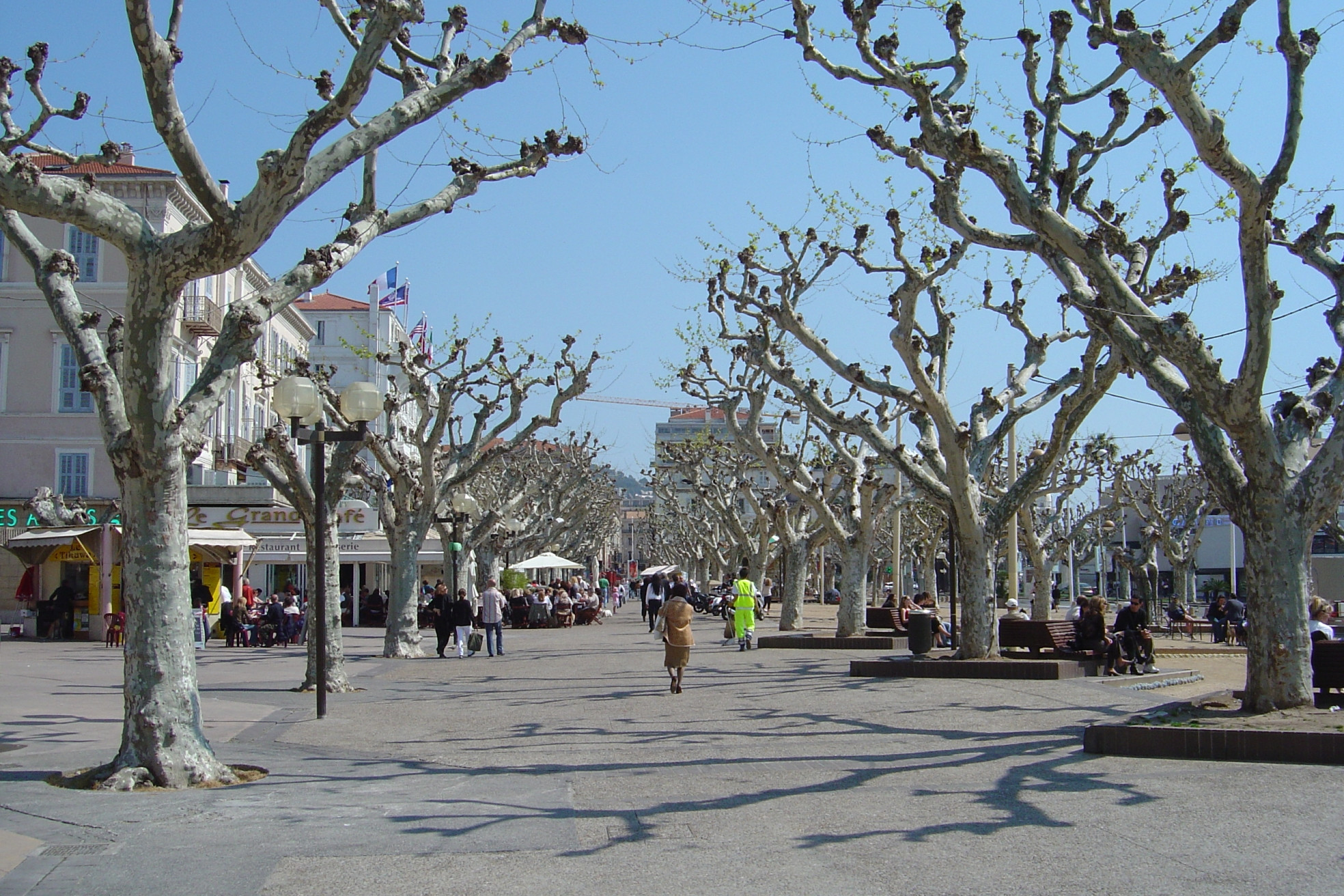 Парк в Канне, Франция – фотографии Франции