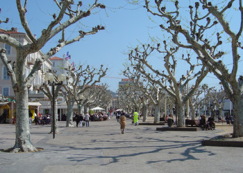 Парк в Канне, Франция – фотографии Франции