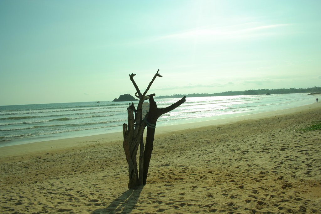 Велигама, Шри-Ланка, фото № 50860 – фотографии Шри-Ланки