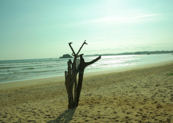 Велигама, Шри-Ланка, фото № 50860 – фотографии Шри-Ланки