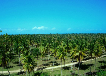 Доминикана, фото № 504 – фотографии Доминиканы