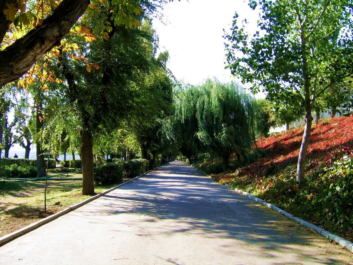 Парк в Саратове, Россия – фотографии России