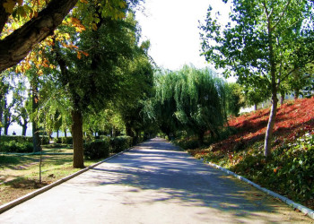 Парк в Саратове, Россия – фотографии России