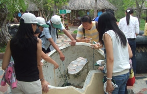 Варят яйца в термальной горячей воде – фотографии Вьетнама
