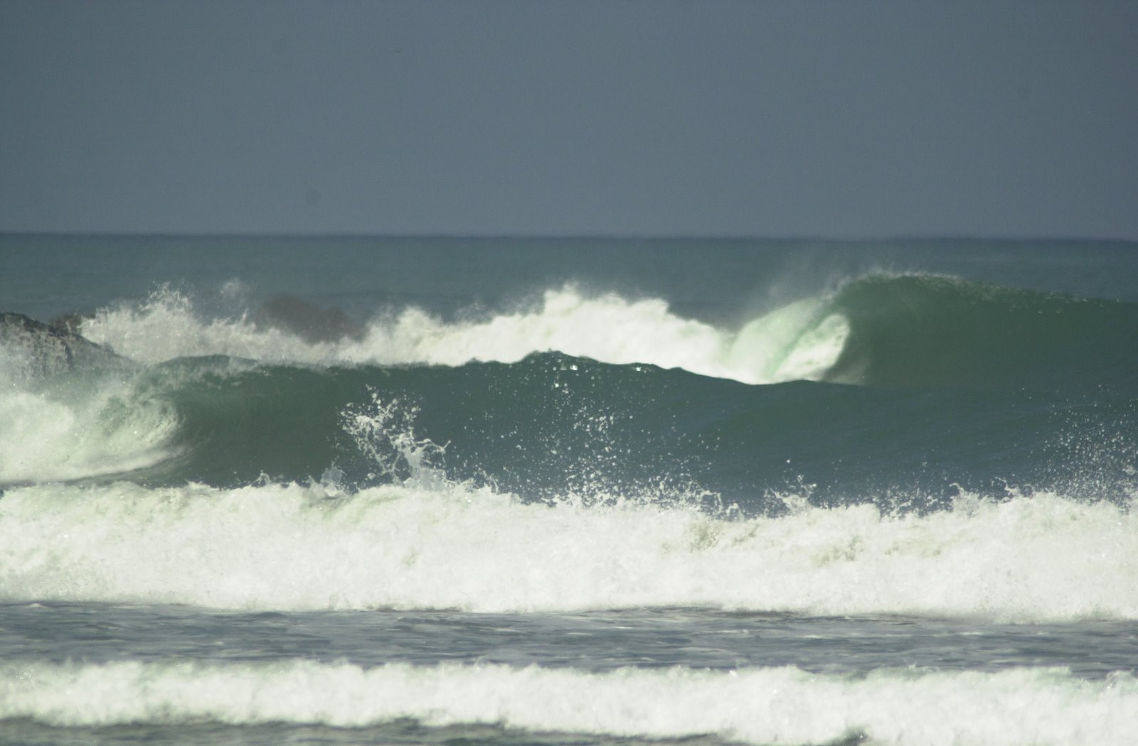 Павонес, Пунтаренас провинция, Коста-Рика, фото № 40901 – фотографии Коста-Рики