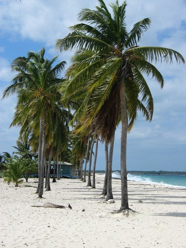 Пляж в Плайя-Санта-Лусия, Куба. Фото 15 – фотографии Кубы