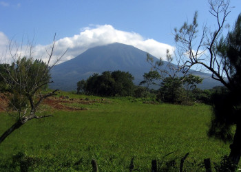 Ринкон де ла Виеха Национальный Парк, Гуанакасте провинция, Коста-Рика, фото № 39254 – фотографии Коста-Рики