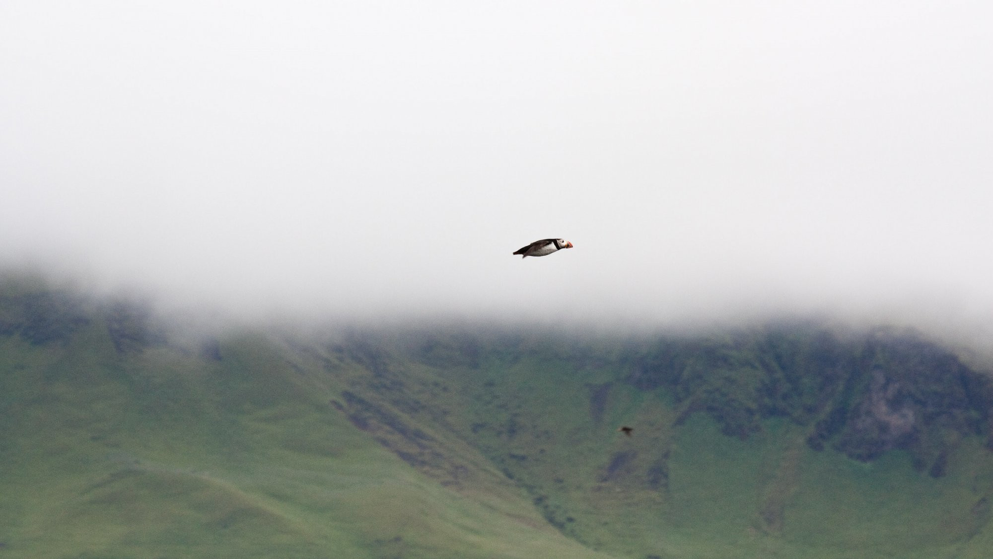 Исландия, фото № 4451 – фотографии Исландии