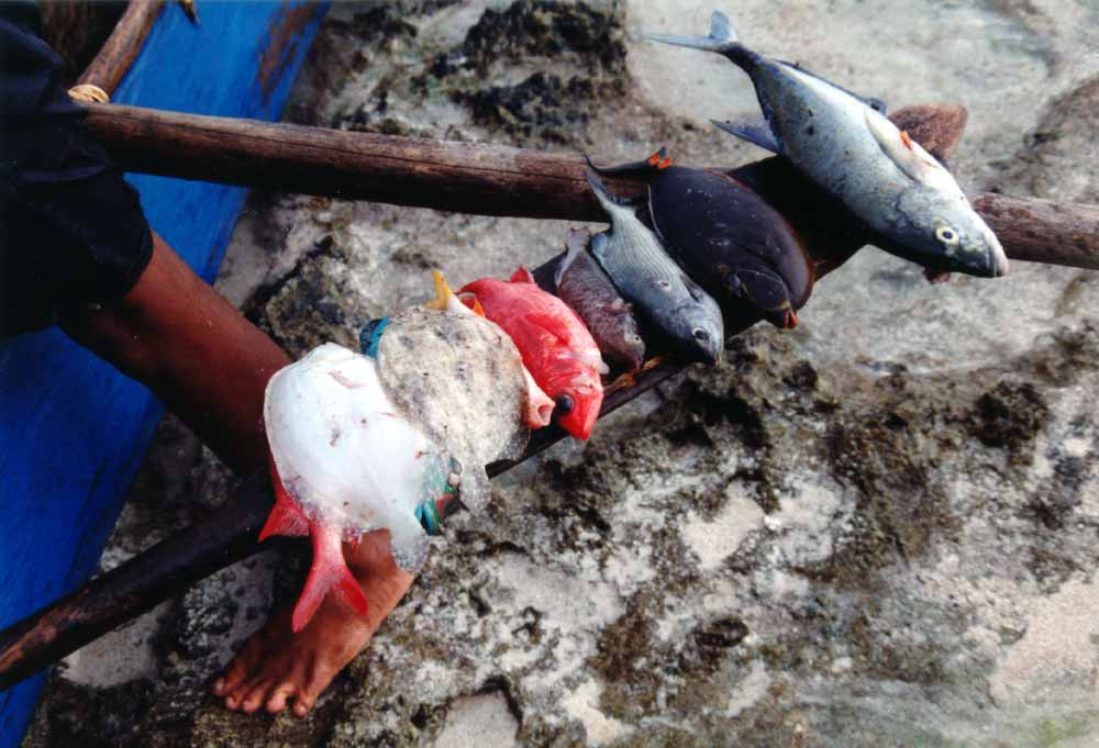 Остров Беллона, Соломоновы о-ва. Фото 1 – фотографии Соломоновых Островов