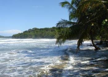 Плайя Чикуита, Лимон провинция, Коста-Рика, фото № 40157 – фотографии Коста-Рики