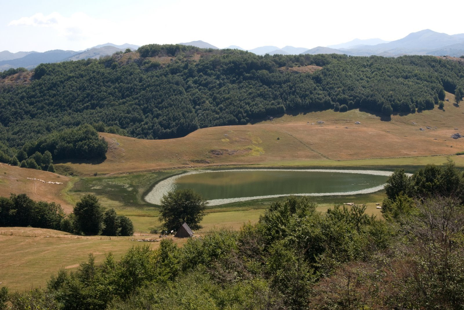 Природа в Дурмитор, Черногория. Фото 42 – фотографии Черногории