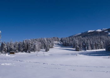 Природа в Виллар-де-Лан, Франция – фотографии Франции