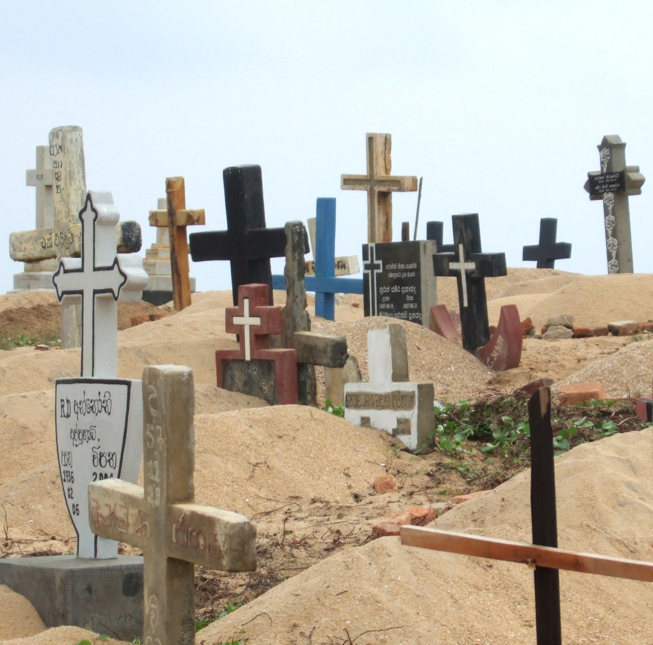 Негомбо, Шри-Ланка, фото № 51961 – фотографии Шри-Ланки