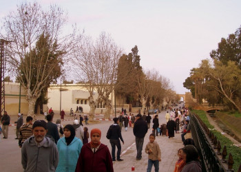 Фес, Марокко, фото № 8518 – фотографии Марокко