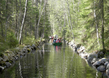 Водные экскурсии по каналам Большого Соловецкого острова – фотографии России