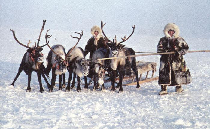 тундра – фотографии России