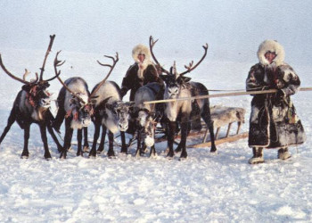 тундра – фотографии России