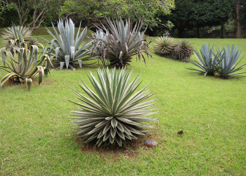 Канди, Шри-Ланка, фото № 51346 – фотографии Шри-Ланки