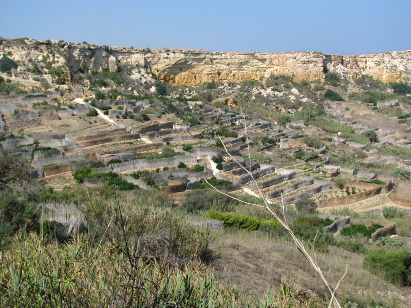 Сан-Блас-Бэй, Гозо остров, Мальта, фото № 41599 – фотографии Мальты