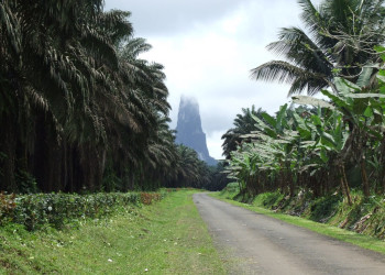 Сан Томе остров, Сан-Томе и Принсипи, фото № 58574 – фотографии Сан-Томе и Принсипи