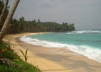 Сан Томе остров, Сан-Томе и Принсипи, фото № 58567 – фотографии Сан-Томе и Принсипи