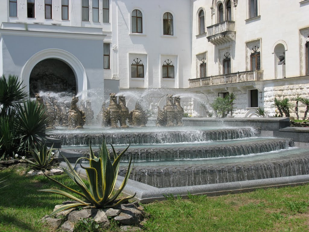 Центральный фонтан. Сухум – фотографии Абхазии