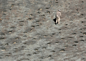 Следы динозавров Cal Orcko на окраине Сукре, Боливия – фотографии Боливии