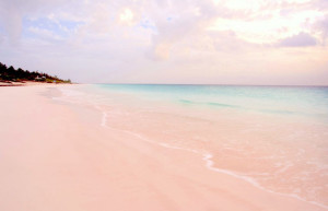Розовый пляж на острове Харбор 12 – фотографии Багамских островов