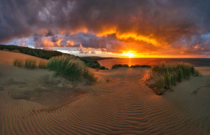 Куршская коса 12 – фотографии России