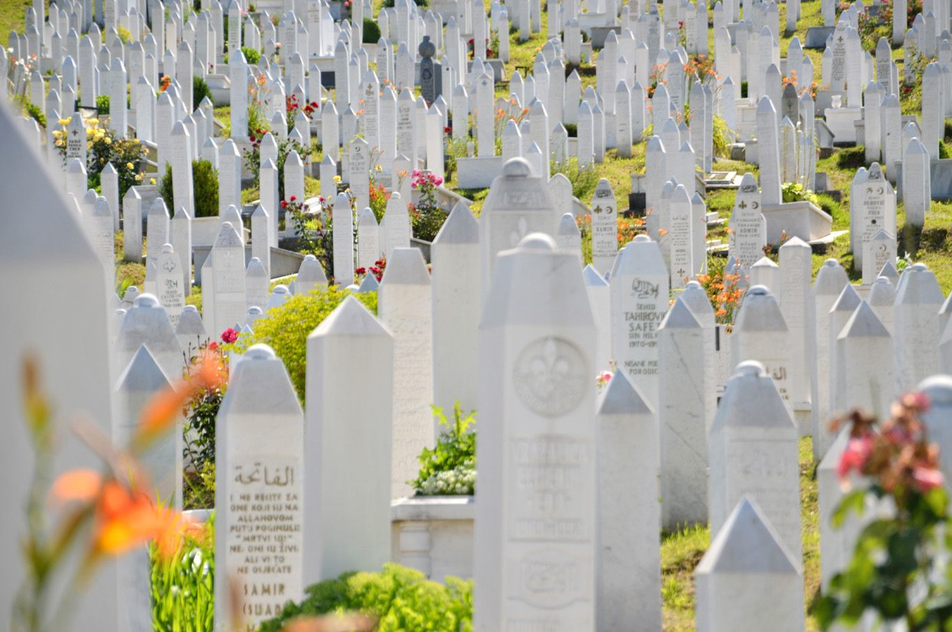 Кладбище Alifakovac в Сараево, Босния – фотографии Боснии и Герцеговины