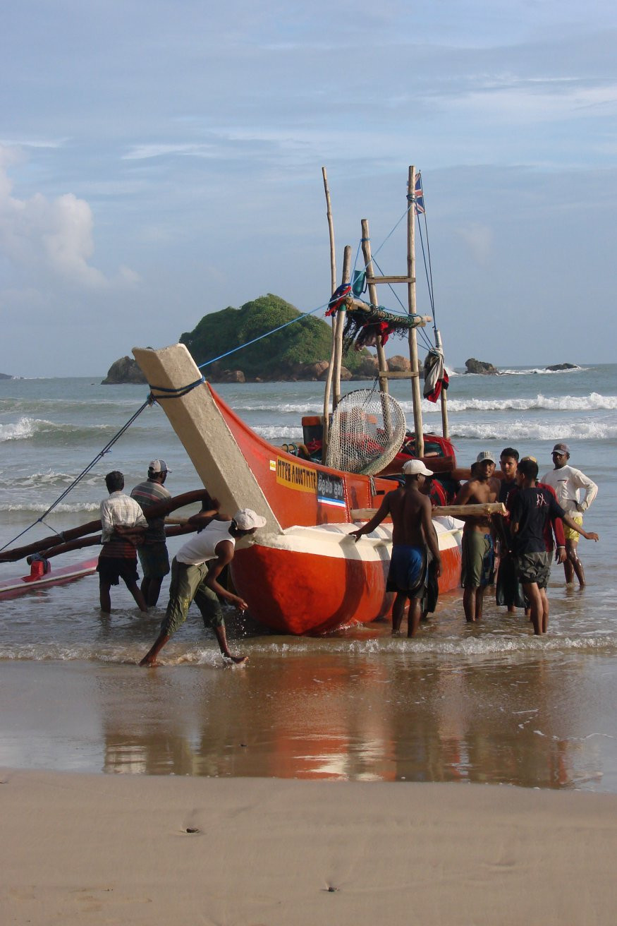 Велигама, Шри-Ланка, фото № 50823 – фотографии Шри-Ланки