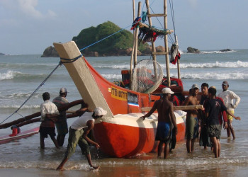 Велигама, Шри-Ланка, фото № 50823 – фотографии Шри-Ланки