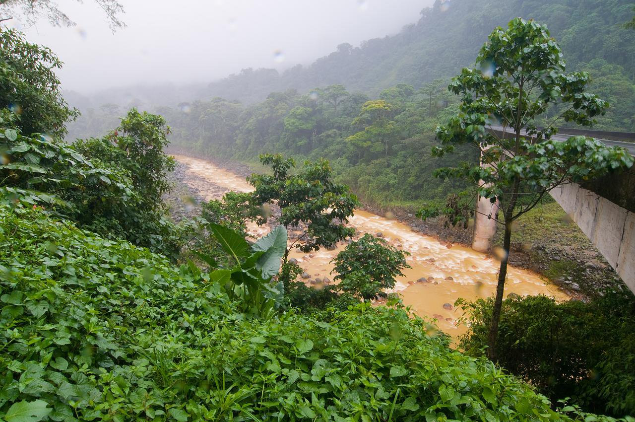 Браулио Каррильо Национальный Парк, Эредия провинция, Коста-Рика, фото № 39999 – фотографии Коста-Рики