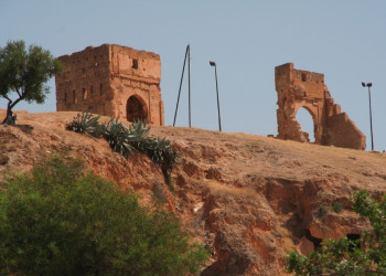 Фес, Марокко, фото № 8578 – фотографии Марокко