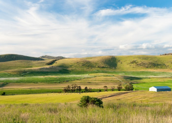 Поля в Тасмании, Австралия. Фото 1 – фотографии Австралии