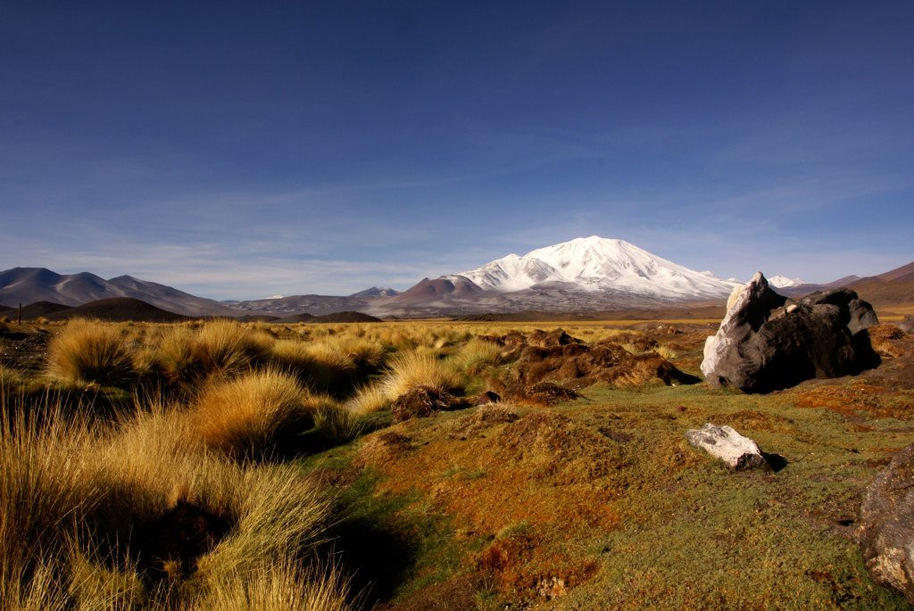 Природа Аргентины. Фото 2 – фотографии Аргентины