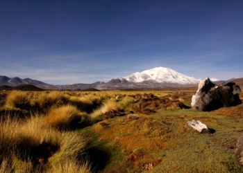 Природа Аргентины. Фото 2 – фотографии Аргентины