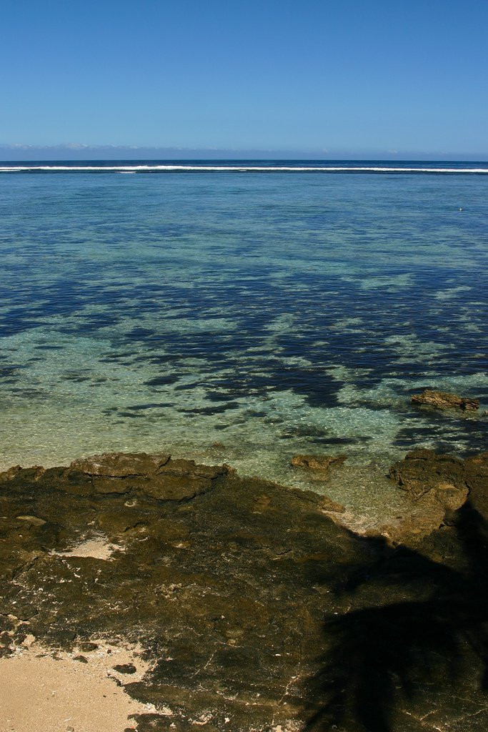 Корал Коаст, Вити Леву остров, Вити Леву группа островов, Фиджи, фото № 49489 – фотографии Фиджи