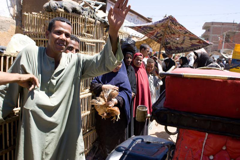 Асуан, Египет, фото № 34899 – фотографии Египта