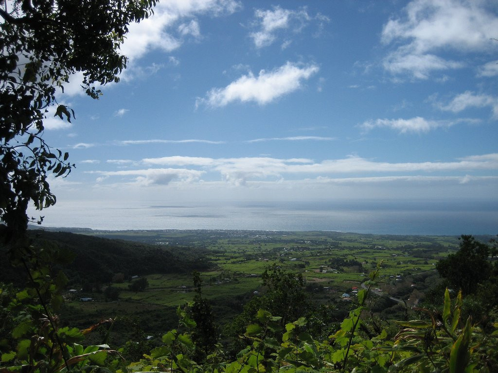 Плень-де-Палмист, Реюньон, фото № 25653 – фотографии Реюньона