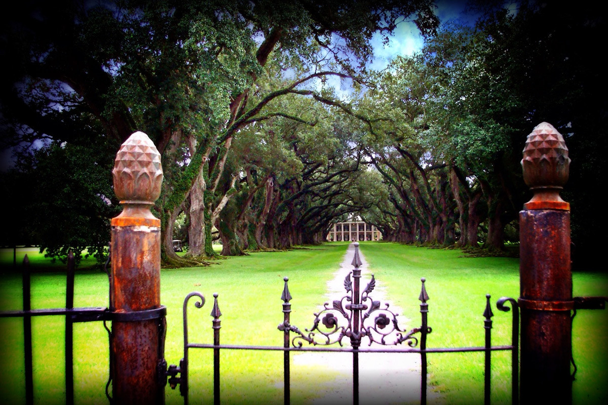Плантация Дубовая Аллея, Луизиана – фотографии США