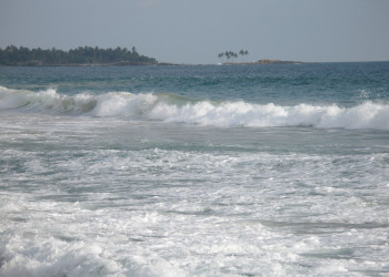 Хиккадува, Шри-Ланка, фото № 52572 – фотографии Шри-Ланки