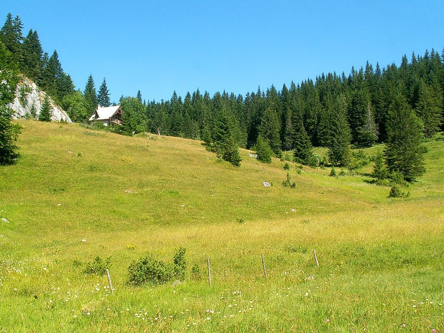 Дурмитор Национальный Парк, Черногория, фото № 53477 – фотографии Черногории