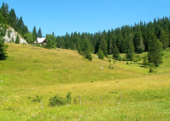 Дурмитор Национальный Парк, Черногория, фото № 53477 – фотографии Черногории