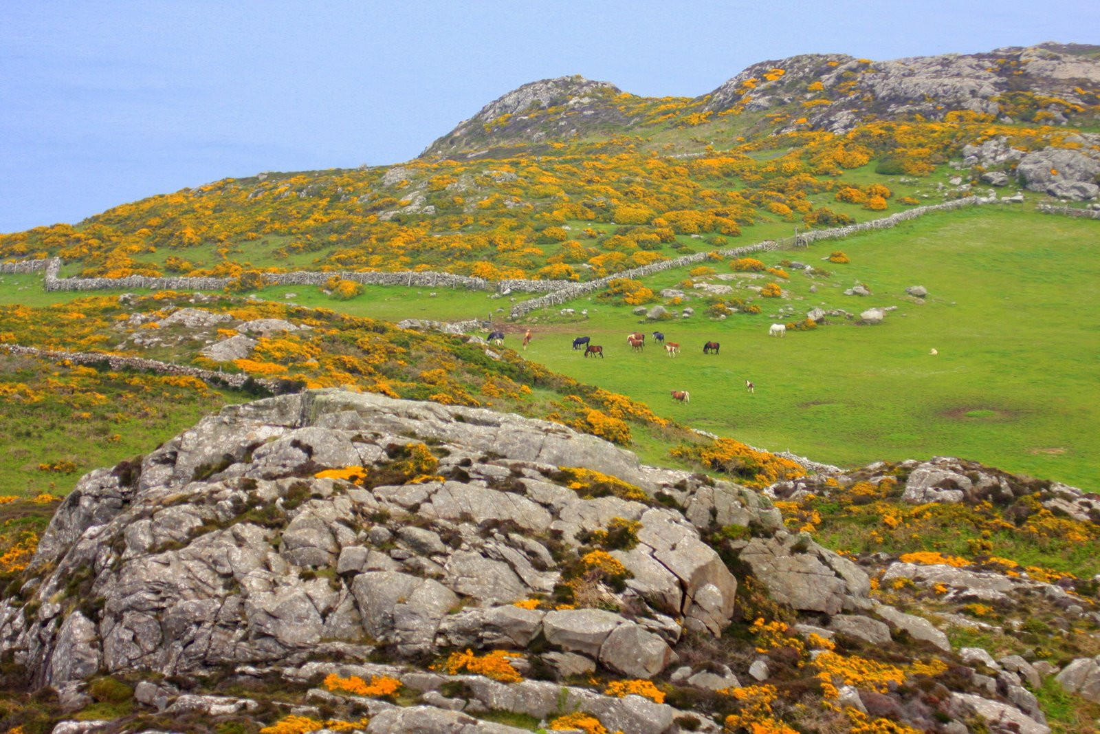 Уэльс, Великобритания, фото № 67901 – фотографии Великобритании