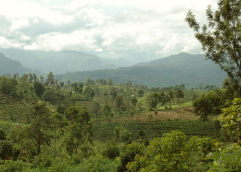 Нувара Элия, Шри-Ланка, фото № 52036 – фотографии Шри-Ланки