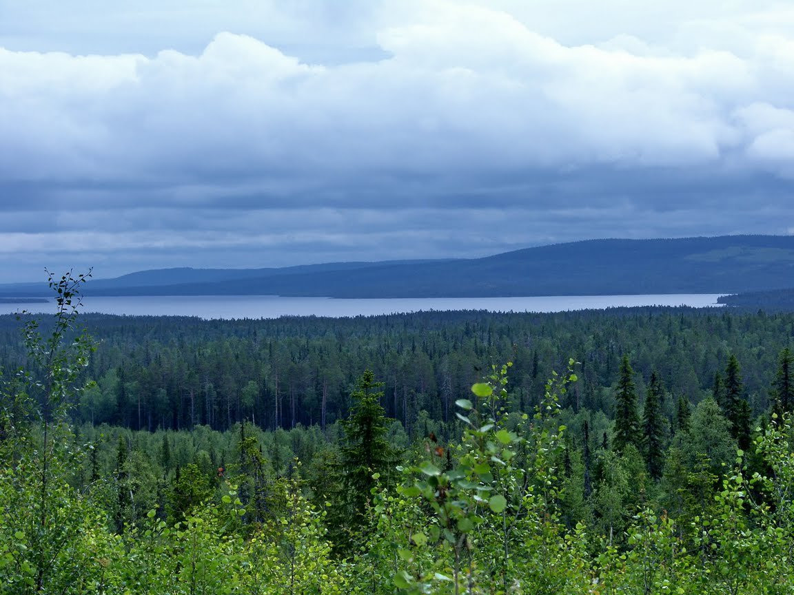 Панорамный вид Национального парка, Россия. Фото 1 – фотографии России